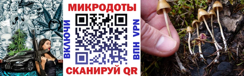 Галлюциногенные грибы Cubensis  Купить где  Усть-Катав 